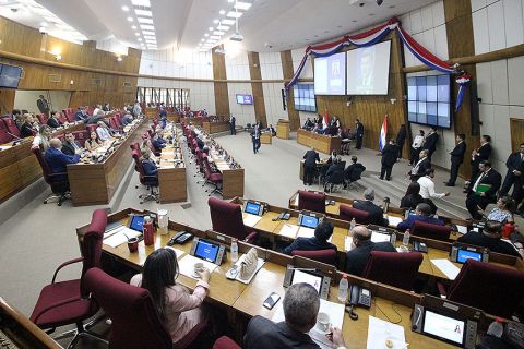 Diputados insta al Congreso de los EE.UU. a reconsiderar decisión sobre importación de carne paraguaya