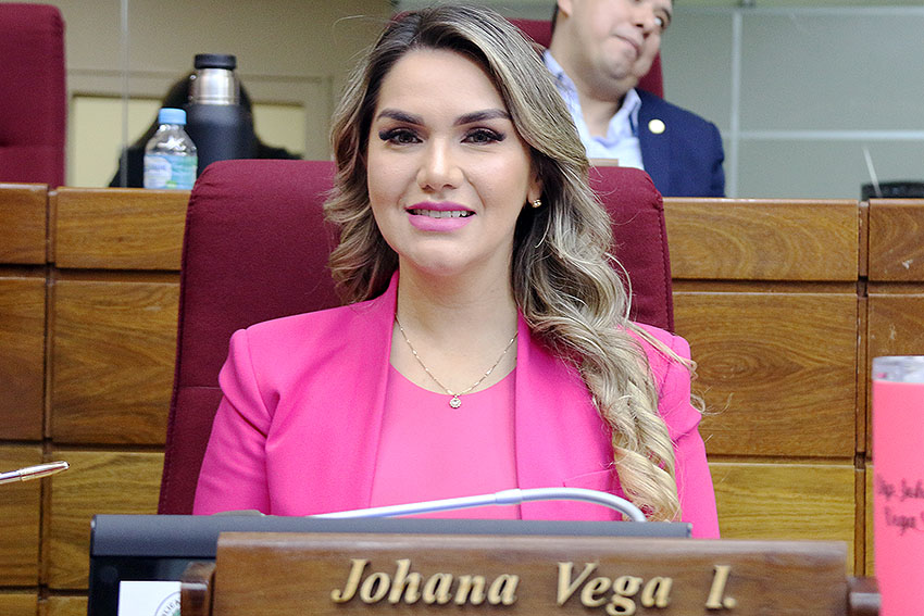 Presidente de Diputados ratifica compromiso con la educación durante jornada gubernamental en Cordillera