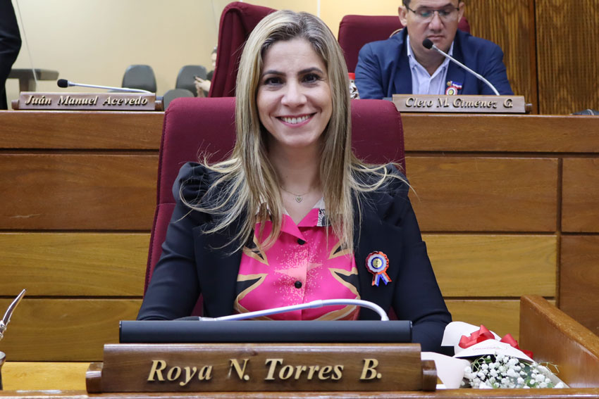 Presidente de Diputados ratifica compromiso con la educación durante jornada gubernamental en Cordillera