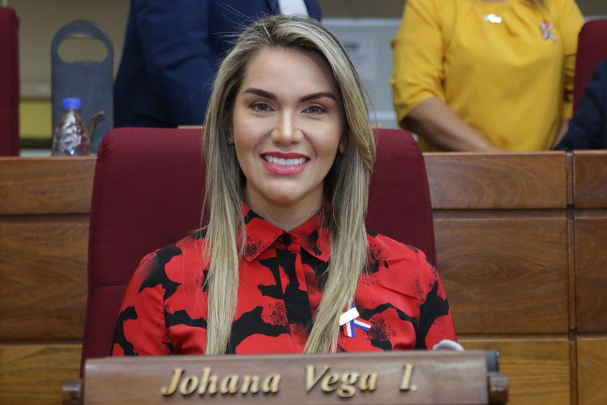 Presidente de Diputados ratifica compromiso con la educación durante jornada gubernamental en Cordillera
