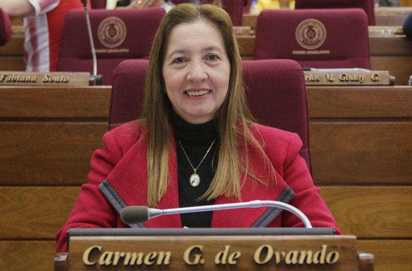 Presidente de Diputados ratifica compromiso con la educación durante jornada gubernamental en Cordillera