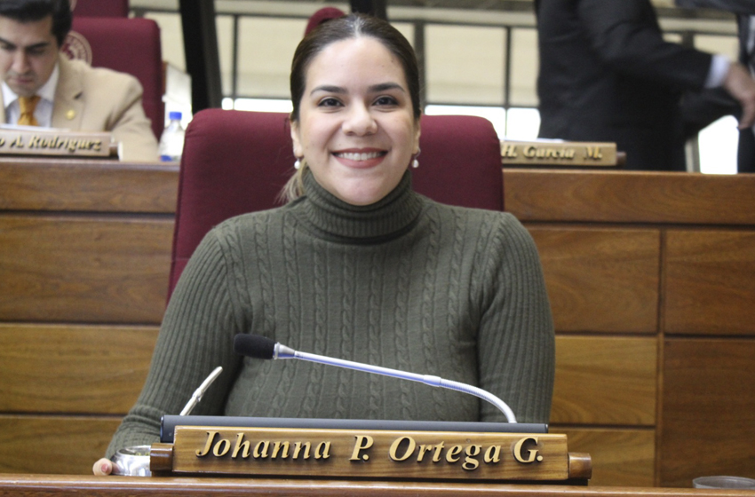 Presidente de Diputados ratifica compromiso con la educación durante jornada gubernamental en Cordillera