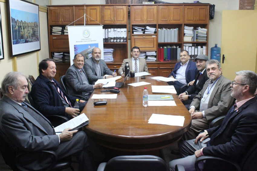 Presidente de Diputados ratifica compromiso con la educación durante jornada gubernamental en Cordillera