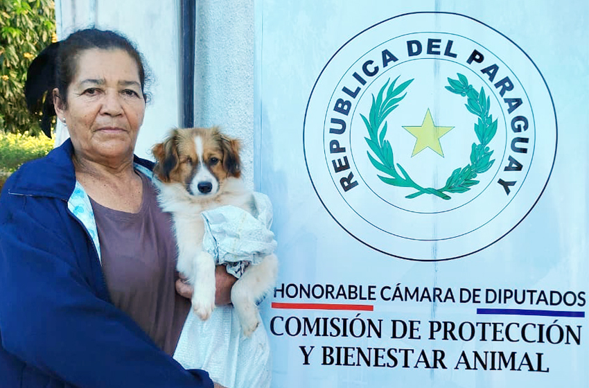 Presidente de Diputados ratifica compromiso con la educación durante jornada gubernamental en Cordillera