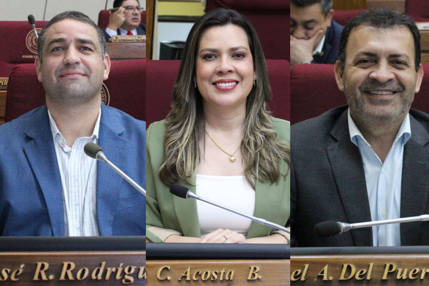 Presidente de Diputados ratifica compromiso con la educación durante jornada gubernamental en Cordillera