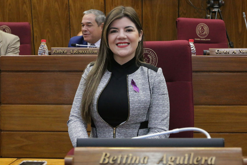 Presidente de Diputados ratifica compromiso con la educación durante jornada gubernamental en Cordillera
